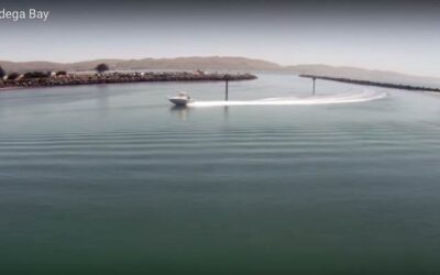 Aerial Video of Bodega Bay