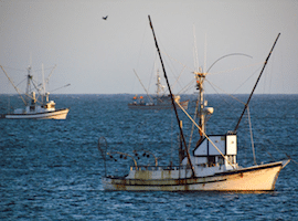 Salmon Fishing in Bodega Bay