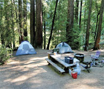 Austin Creek’s Bull Frog Pond Campground