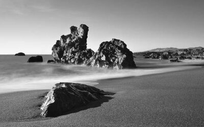 Sonoma Coast Images by Joe Burke