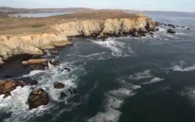 A Year on the Sonoma Coast: 2012
