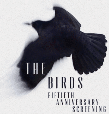 The Birds Screening at the Bodega Bay Grange