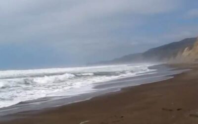 Hike to Alamere Falls, Point Reyes