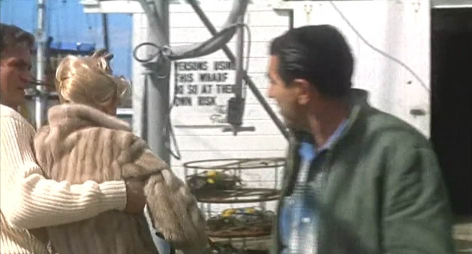 Why is the main character named “Mitch”? – Birds of Bodega Bay Act 2