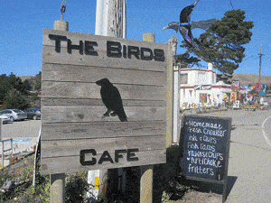 The Birds Cafe in Bodega Bay review by Melanie Wong