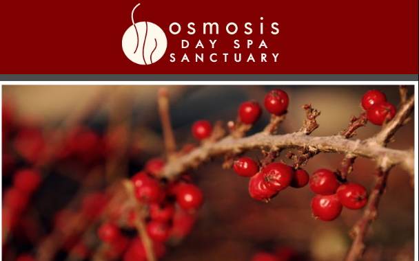 Something from Osmosis this holiday season