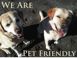 PetFriendly