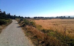 BirdWalk trail large