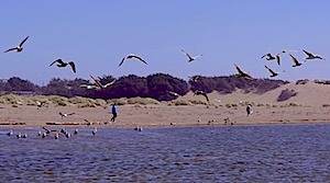LET’S TAKE A WALK – BODEGA BAY – CALIFORNIA