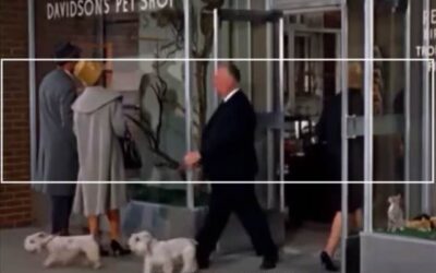 Every Alfred Hitchcock Cameo – Tippi Returns Labor Day Weekend at The Tides
