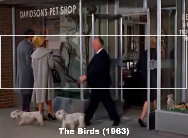 Every Alfred Hitchcock Cameo – Tippi Returns Labor Day Weekend at The Tides