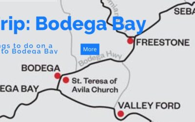 Road Trip: Bodega Bay