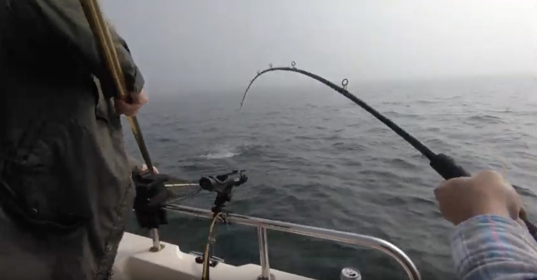 Salmon season reopens May 18