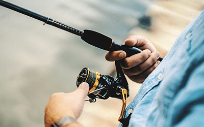 Let’s Go Fishing!