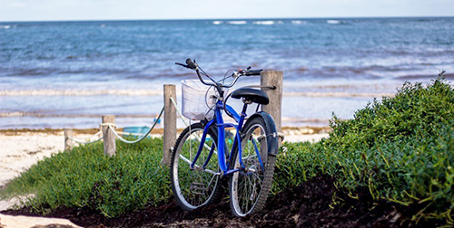 Bodega Bay Bike Rides