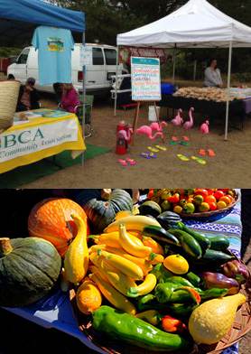 Bodega Bay Community Farmers Market