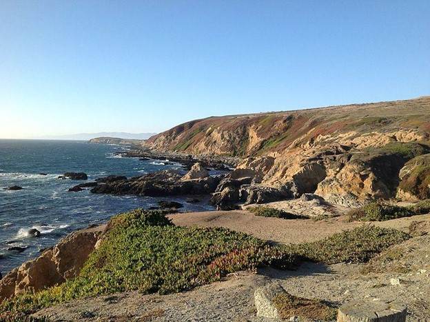 Bodega Head