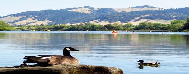 Spring Lake Regional Park