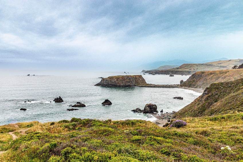 Bodega Bay
