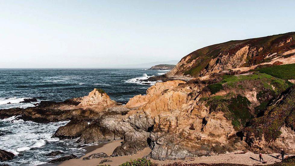 Bodega Bay- Whale Migration Hike+Raquel's Picnic Gourmet Food