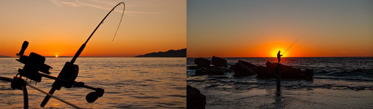 Fishing In Bodega Bay and Sonoma County