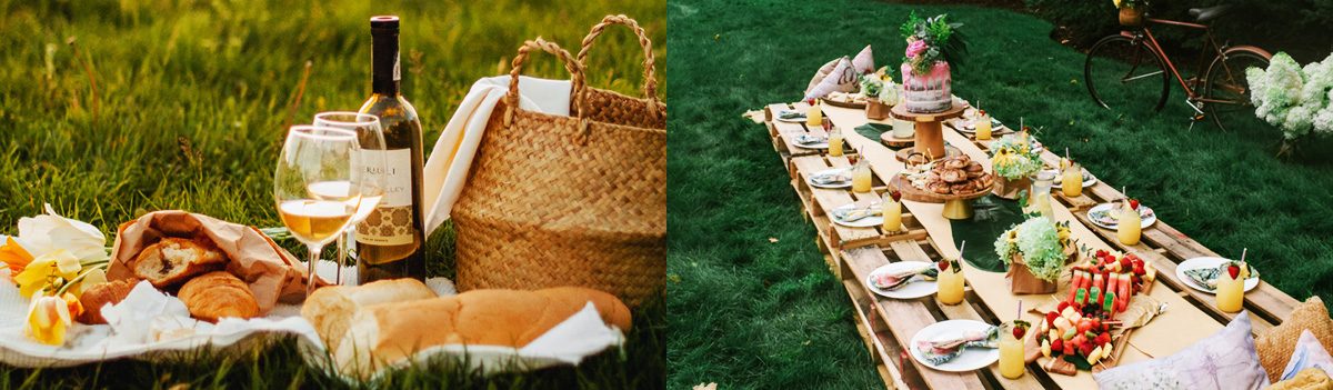 Sonoma County Picnics