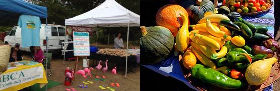 Bodega Bay Community Farmers Market