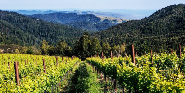 West Sonoma Coast American Viticultural Area (AVA)