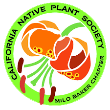 Doran Marsh Regional Park Plant Walk