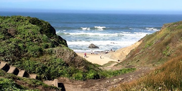 Beach YogaHike (Bodega Bay Trailhead, Sonoma Coast)