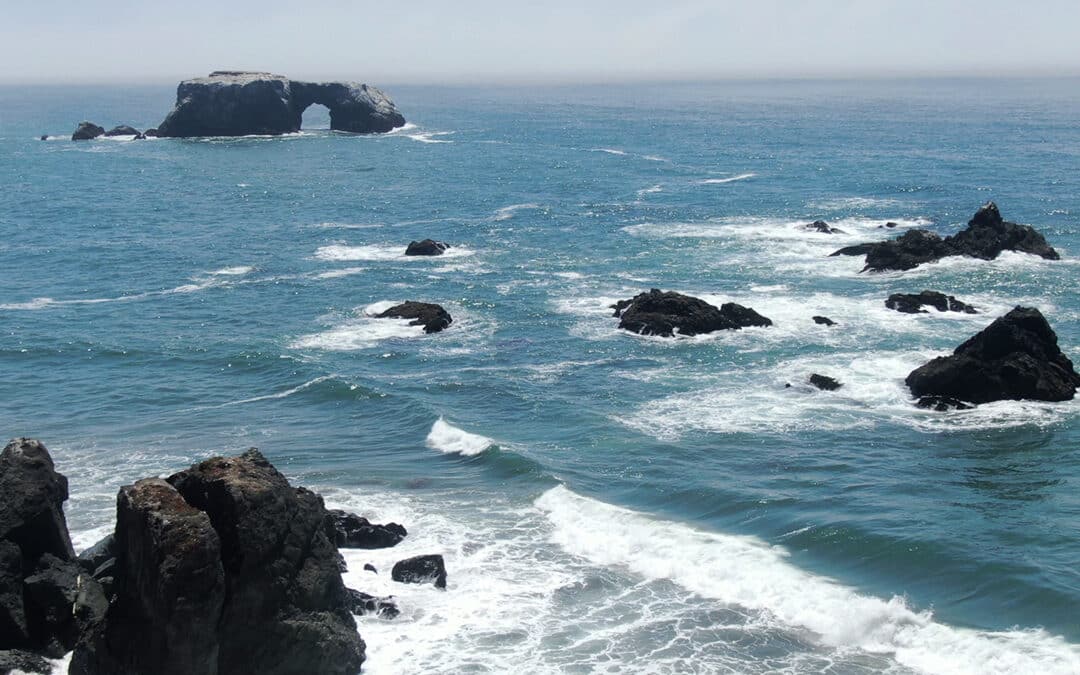 Interesting Facts About Sonoma Coast Beaches