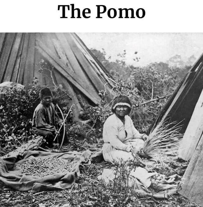 Pomo