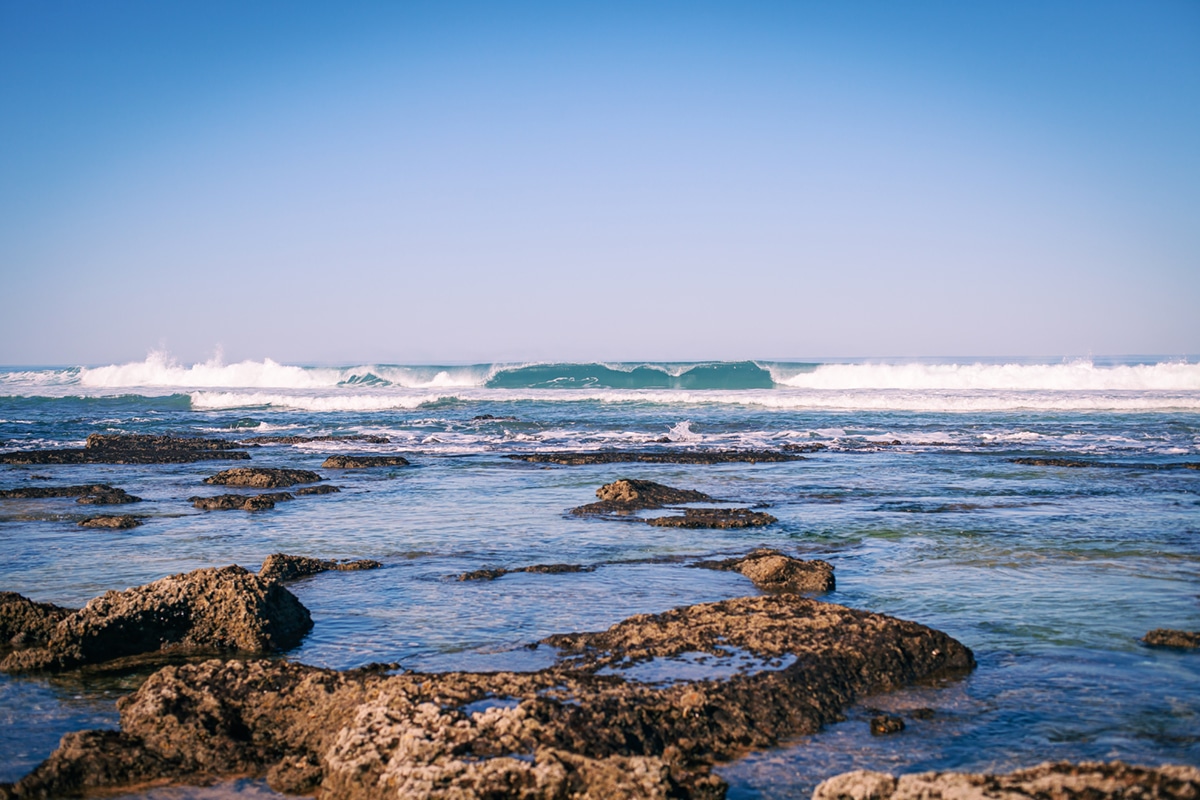Exploring the Tide Pools of the Sonoma Coast