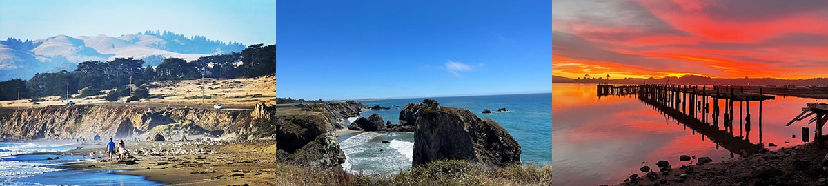 Bodega Bay
