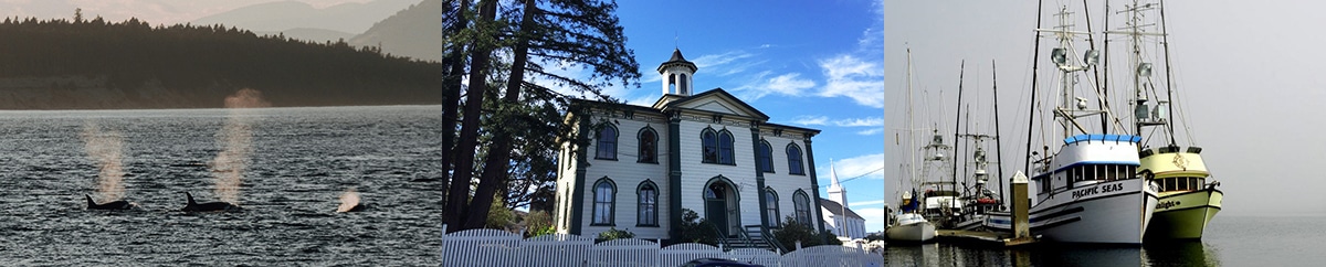 March In Bopdega Bay