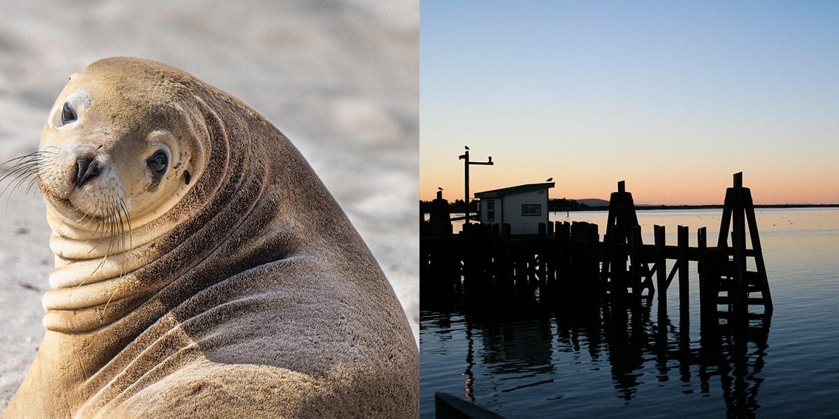 Sustainable Tourism in Bodega Bay: Preserving the Beauty of the Coast