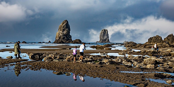 Stewardship Saturday: Investigating Tidepools for Ocean Health