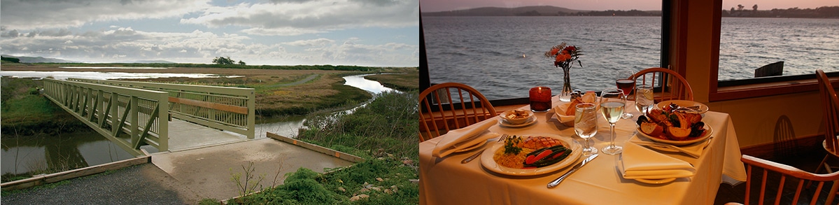 Bodega Bay in June: A Coastal Paradise of Adventure, Relaxation, and Cultural Richness